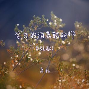 李白的酒苏轼的柳（r&b版）