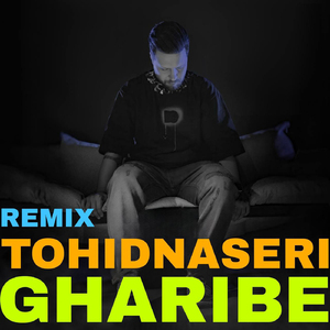 Gharibe (Remix)