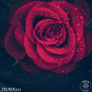 Into You (Original Mix)