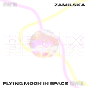 The Day The Sun Was Made (Zamilska Remix)