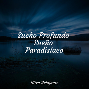 Sueños Líquidos