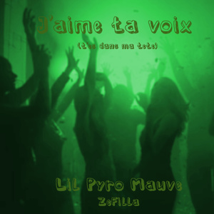 J'aime ta voix (T'es dans ma tête)