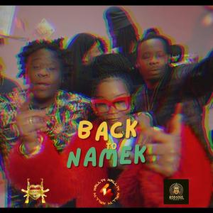 Back To Namek (The Meddley) (feat. Royalty, Lamooms & Oblik)
