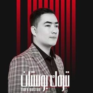 Tirak Bostan（杨树林）