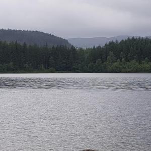 Chhoti Jayee Jaan (Panjabi Language)