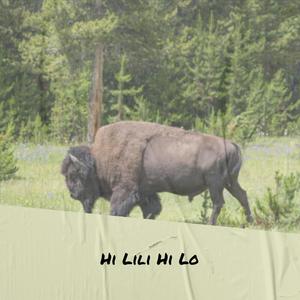 Hi Lili Hi Lo