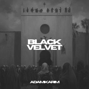 Black Velvet