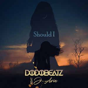 Should I (Original Mix)