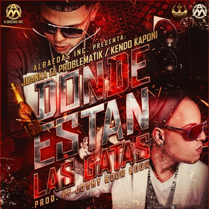 Donde Estan las Gatas