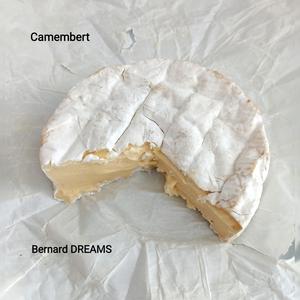 Camembert
