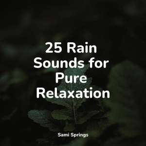 Rain From the Heavens