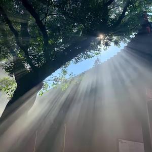 有些情绪是该说给懂的人听