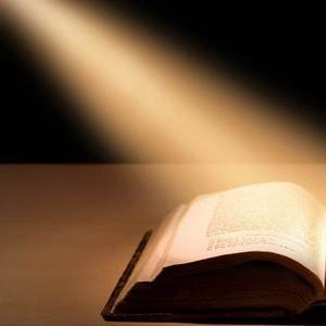 这晓子会发光-我恨我自己