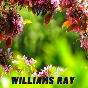 Lion King Kills (English)