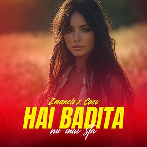 Hai Badita