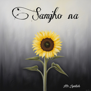 Samjho na (Audio edit)