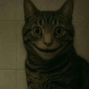 Grinning Mask（笑魇）