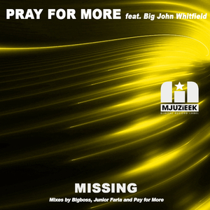 Missing (Pray For More Organo Dub)