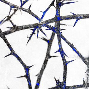 夜里想我们的一切杀死了睡眠