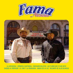 Las Flores Que Tu Me Diste