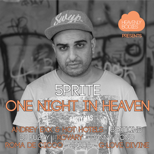 One Night In Heaven, Vol. 6(Continuous Mix)