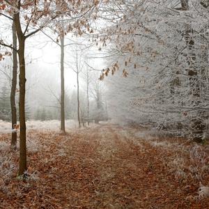 以后的以后（抖音纯享版）