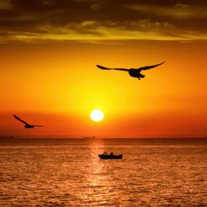 Yari Bana Sormayın (V10)