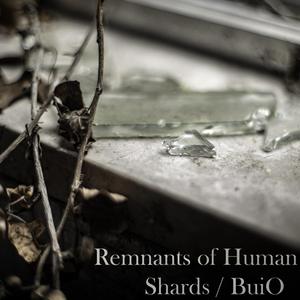 Remnants of Human Shards