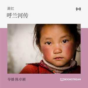 呼兰河传 第7章 (41)