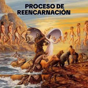 REENCARNACIÓN .