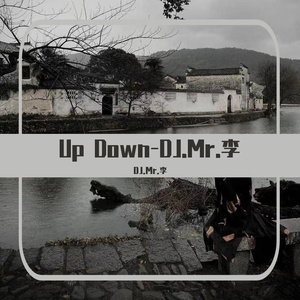 Up Down (DJ.Mr.李)
