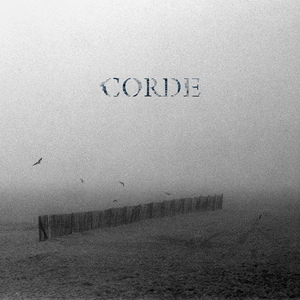 Crushed to the Ground