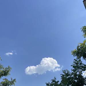 《形容》翻自:沈以诚