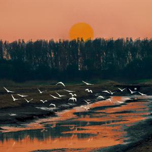 我想和你一起慢慢变老