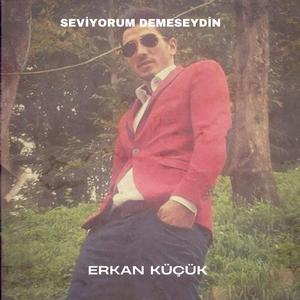 Seviyorum demeseydin