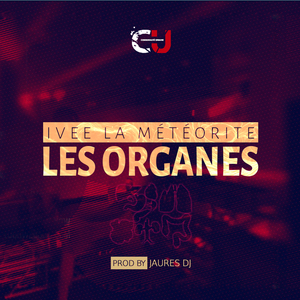Les Organes