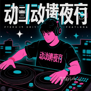 震荡的夜晚-dj