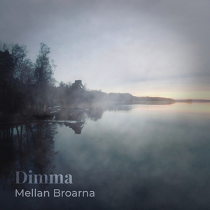 Dimma