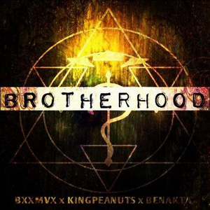 Brotherhood(Original mix)