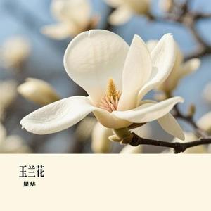 一起去未来吧 (星华 Remix)