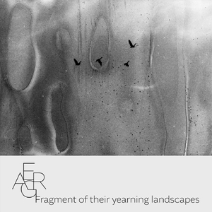 Across Puszta (In Honor of Béla Tarr)