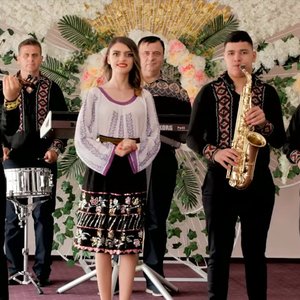 Asa mijlocel de viespe