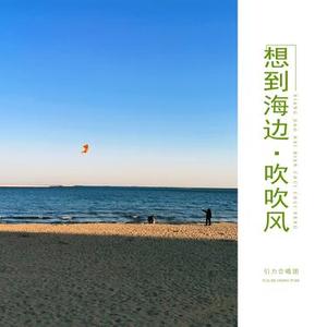 想到海边吹吹风