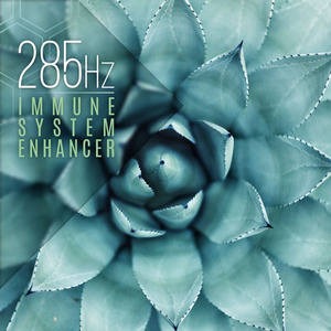 Boost Your Immune System