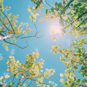 今生的情等下一辈再续