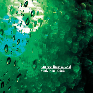 Piano Trio No. 1: 1. Lento tranquillissimo