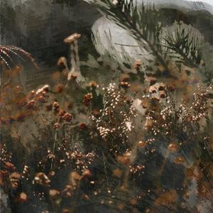 Peace Be With You (Solo Guitar)