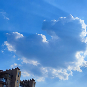 给妈妈的话 (嘿，亲爱的妈妈)