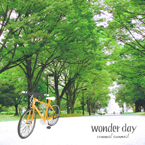 wonder day