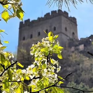 文明花开在滦平